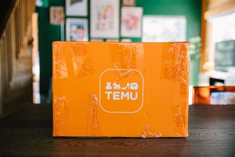 Temu Review: I Spent $170 So You Don't Have To (Honest Review!)