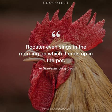 Rooster even sings i... Quote from Stanislaw Jerzy Lec - Unquote