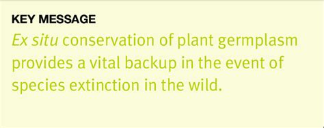 1.1 Overview of ex situ plant conservation strategies and links to in... | Download Scientific ...