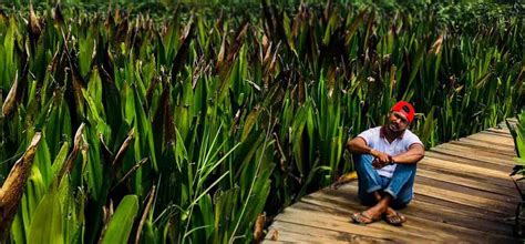 Exploring Beddagana Wetland Park: A Peaceful Getaway in Colombo - Mahaweli Tours & Holidays