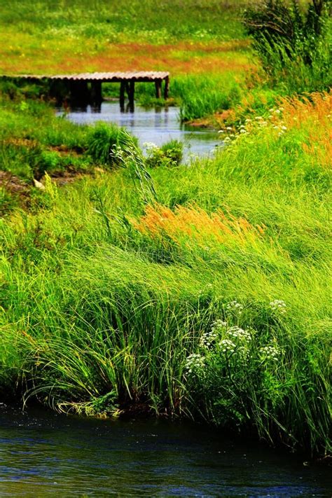 Landscape of Hulunbuir Grasslands Stock Photo - Image of chinan, bodies ...