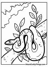 Realistic Snake On A Tree Coloring Page sketch template