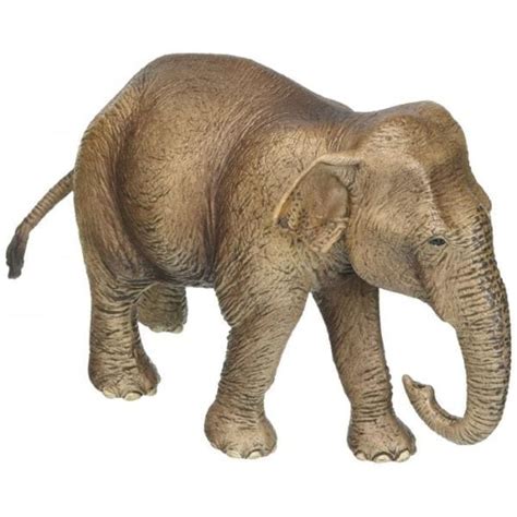 Schleich 14753 Asian Elephant Female | World Of Wonder Toys