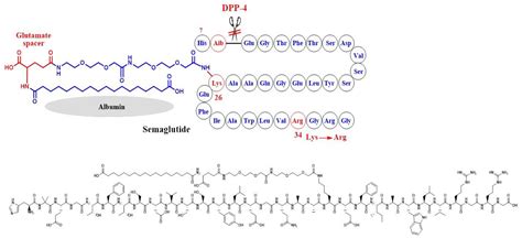 Emerging Role of GLP-1 Agonists in Obesity: A Comprehensive Review of Randomised Controlled ...