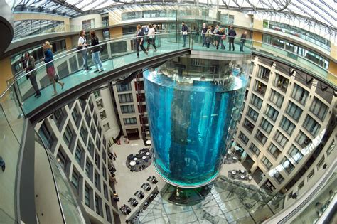 AquaDom estalla y deja a 1500 peces muertos - National Geographic en ...