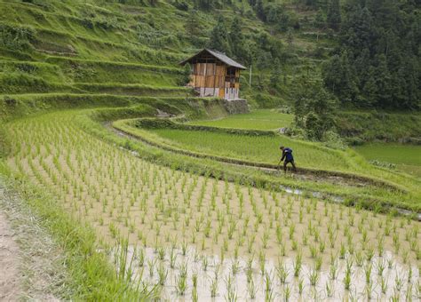 Study Finds Personality Differences Come Down to Farming Practices | TIME