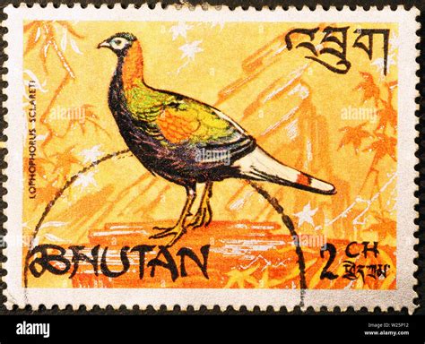 Beautiful pheasant on postage stamp of Bhutan Stock Photo - Alamy