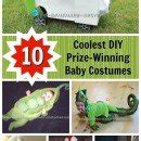 15 Coolest Homemade Dog Halloween Costume Ideas