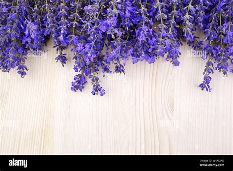 Flowers background. Frame pattern of lavender flowers on wooden background. top view. copy space ...