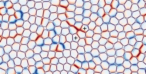 Condensed matter physics inspires a new model of cellular behavior