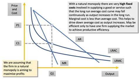 Explaining Natural Monopoly | Economics | tutor2u