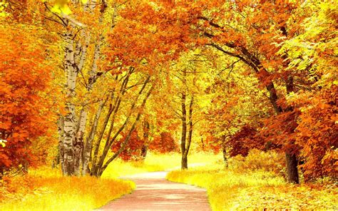 Fall Scenery Backgrounds - Wallpaper Cave