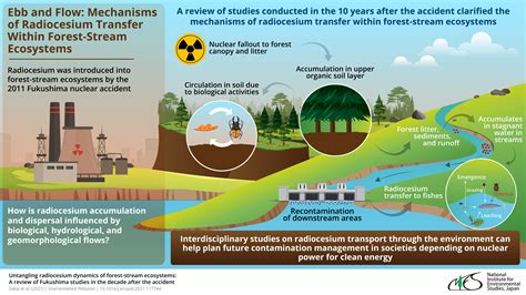 Scientists trace the path of radioactive cesium in the ecosystem of Fukushima