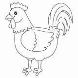 Dibujos de Gallo para colorear E Imprimir– ColoringOnlyCom sketch template