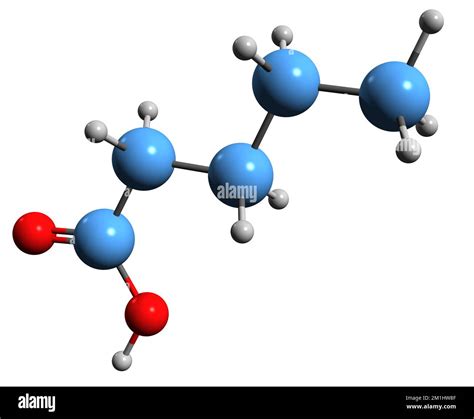 3D image of Valeric acid skeletal formula - molecular chemical ...