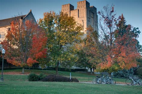 First time I've ever seen fall colors.It truly is beautiful. : r/VirginiaTech