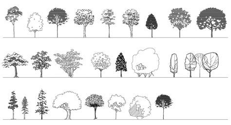 Download a set of deciduous trees in elevation view