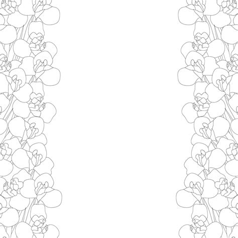 Iris Flower Outine Border on White Background 5124223 Vector Art at Vecteezy