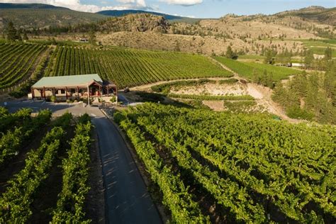 12 Best Wineries In Penticton, BC | Drink Tea & Travel