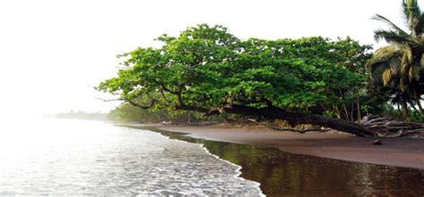 Limbe Beach, Limbe Beach Cameroon Holiday Travel Lodging