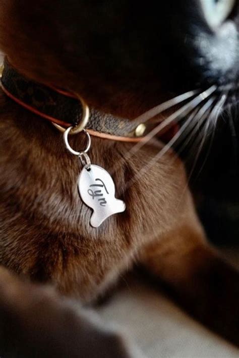 40 Best Gifts for Cat Lovers 2022 - Funny Cat-Themed Gifts