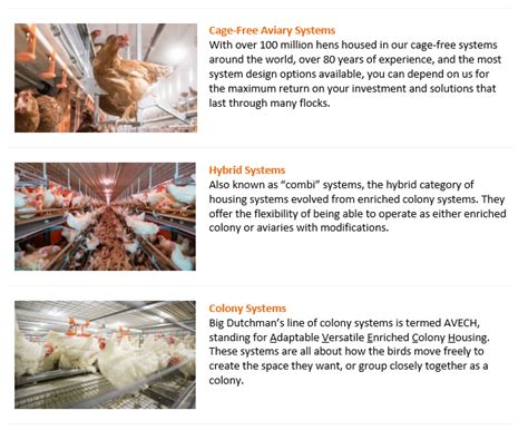 Big Dutchman Poultry Equipment: Innovative Solutions for Profitable Egg ...