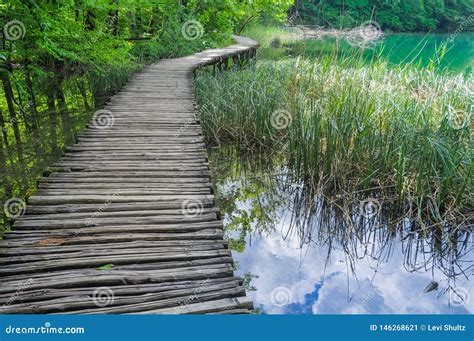 Wooden Hiking Trails in Plitvice Lakes National Park Stock Image - Image of green, lush: 146268621