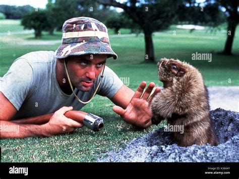 Caddyshack Gopher Meme