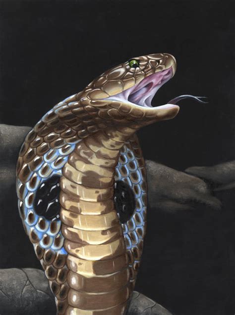 Cobra Original Oil Painting / Framed Painting / Snake Art / Cobra Painting / Wildlife Art ...