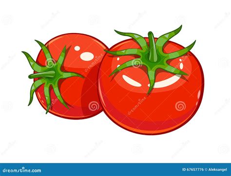 Tomato Vector. A Lot Of Red Tomatoes. Seamless Pattern Background ...