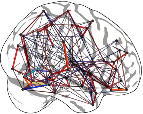 Covariance and graphical models of brain connectivity – Parietal