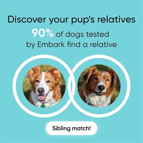 Buy Embark Breed Identification Kit | Most Accurate Dog DNA Test | Test ...