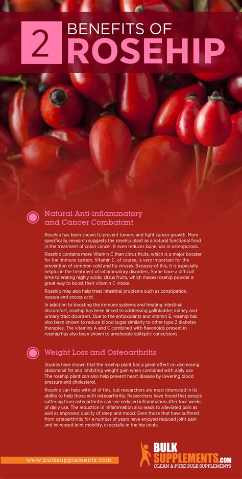 Rosehip: Benefits, Side Effects & Dosage