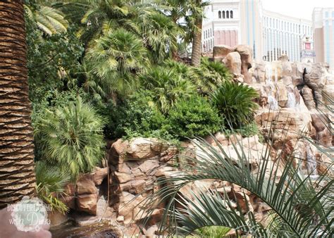 the mirage secret garden & other vegas tourist spots