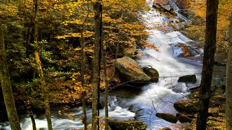 Hike into 2017 at West Tennessee state parks