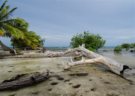 I Farmed Seaweed in Belize to Learn Why It’s the Food of the Future ...