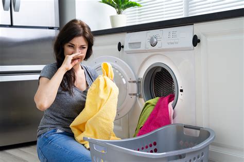 How to Deal with Mold, Mildew Smells in Your Washing Machine | Mold ...