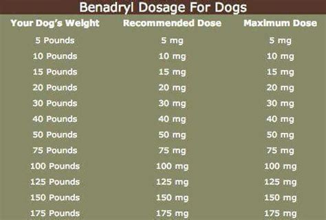 Benadryl Dose For Dogs | Dog benadryl, Benadryl for dogs dosage, Dog ...