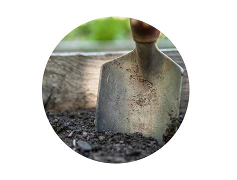 Why every gardener should care about soil acidity and pH - Bokashi Living