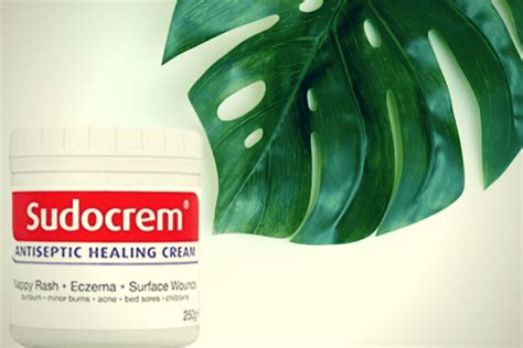 Does Sudocrem Help Spots? | Science Becomes Her