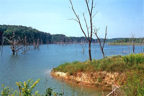 Lake Shelbyville - View from Trail - Shelbyville, Illinois… | Flickr