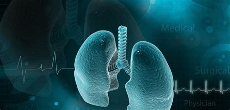 Having Cystic Fibrosis Appears to Increase Chance of Lung Transplant ...