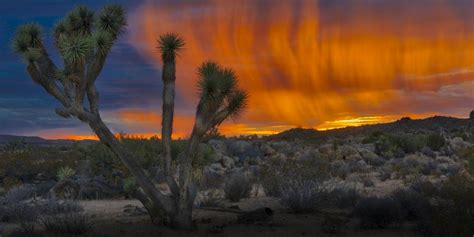 Desert Sunrise in the Rain | Shutterbug