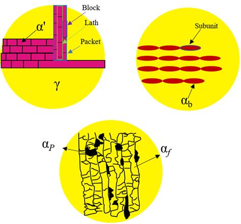 Schematic illustration on the formation of martensite, bainite, and... | Download Scientific Diagram