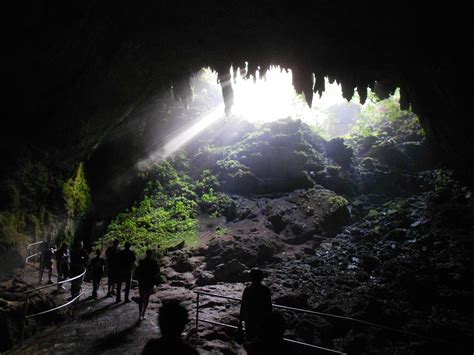 Rio-Camuy-Cave-Park | Camuy, Caribbean travel, Places to go