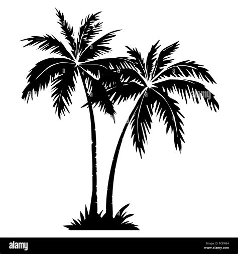 Palm Trees Black Silhouette Royalty Free Vector Image - vrogue.co