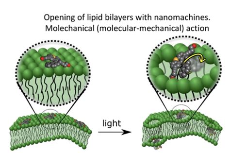 Molecular Electronics Commercializer Next Target is Molecular Robots ...