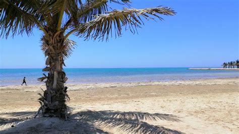 Top 8 beaches In Yanbu: Perfect Spots To Marvel At The Sea Views