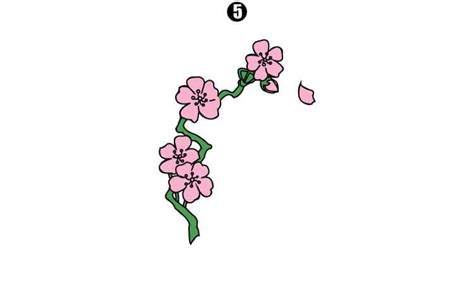 Cherry Blossom Drawing - Step By Step Guide - Cool Drawing Idea