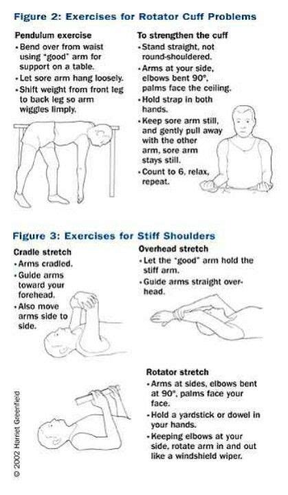 17 Best images about Rotator Cuff Exercises on Pinterest | Physical therapy, Rotator cuff tear ...